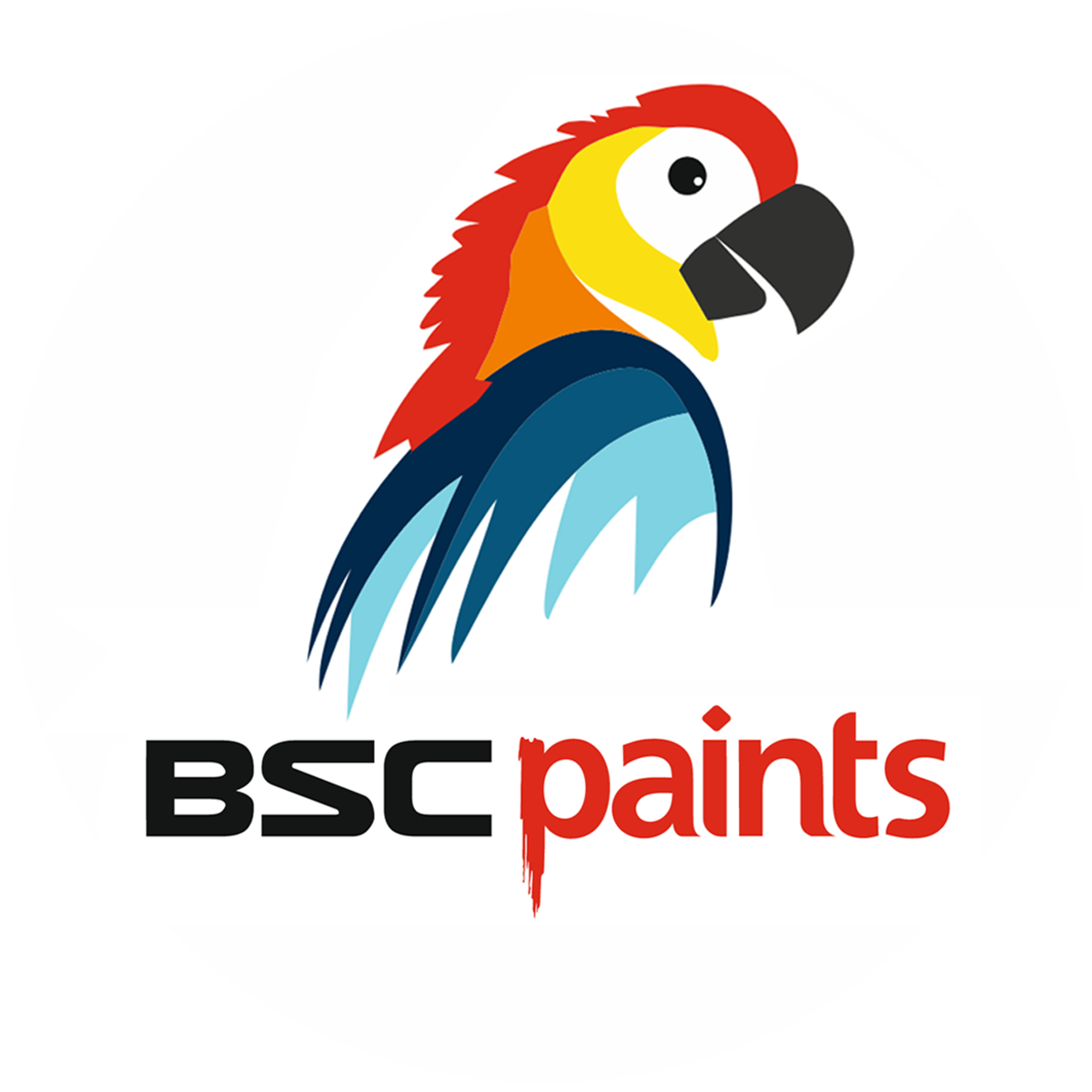 bsc-paint-logo